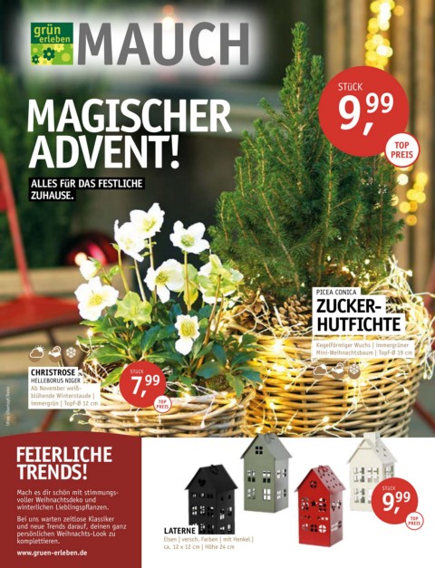 Magischer Advent!