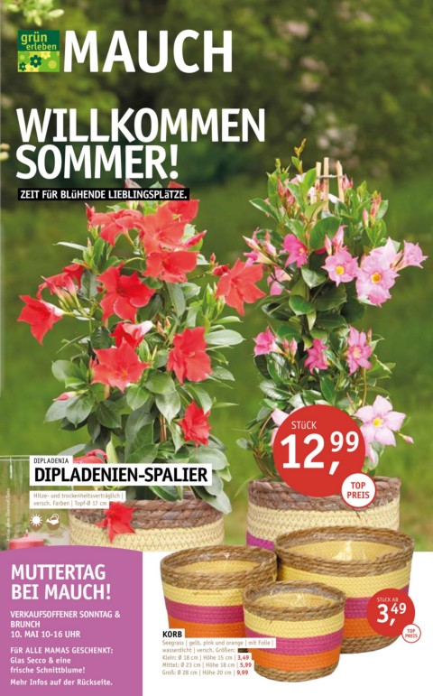 Willkommen Sommer!